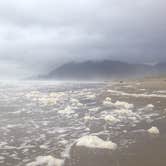 Review photo of Nehalem Bay State Park Campground by Kelly C., June 13, 2018