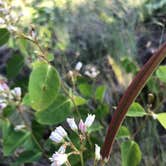 Review photo of North Fork Chewelah Creek by Megan K., July 9, 2021