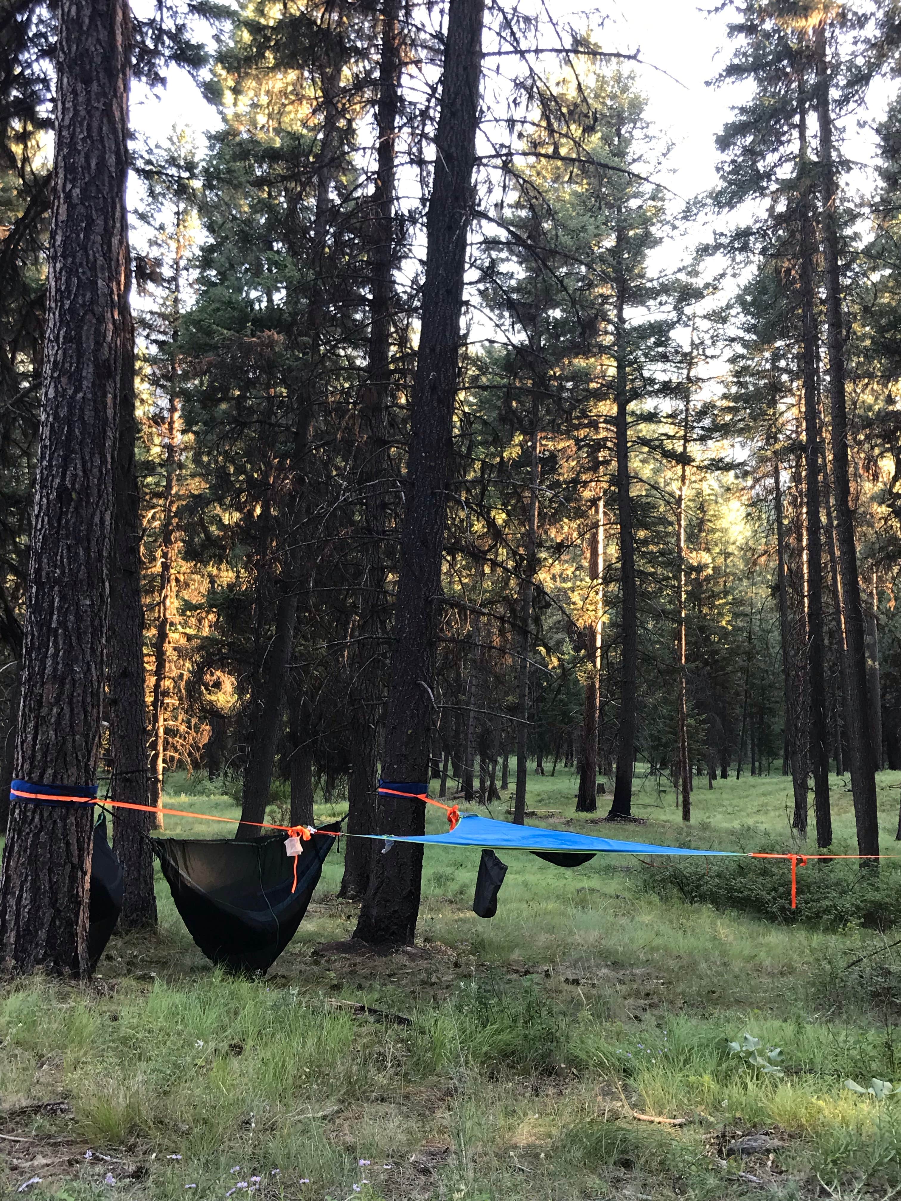 North Fork Chewelah Creek Camping | Chewelah, WA