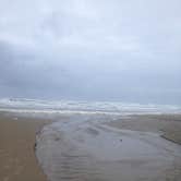 Review photo of Nehalem Bay State Park Campground by Kelly C., June 13, 2018