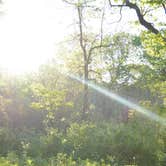 Review photo of Adeline Jay-Geo Karis Illinois Beach State Park by Emily M., July 7, 2021