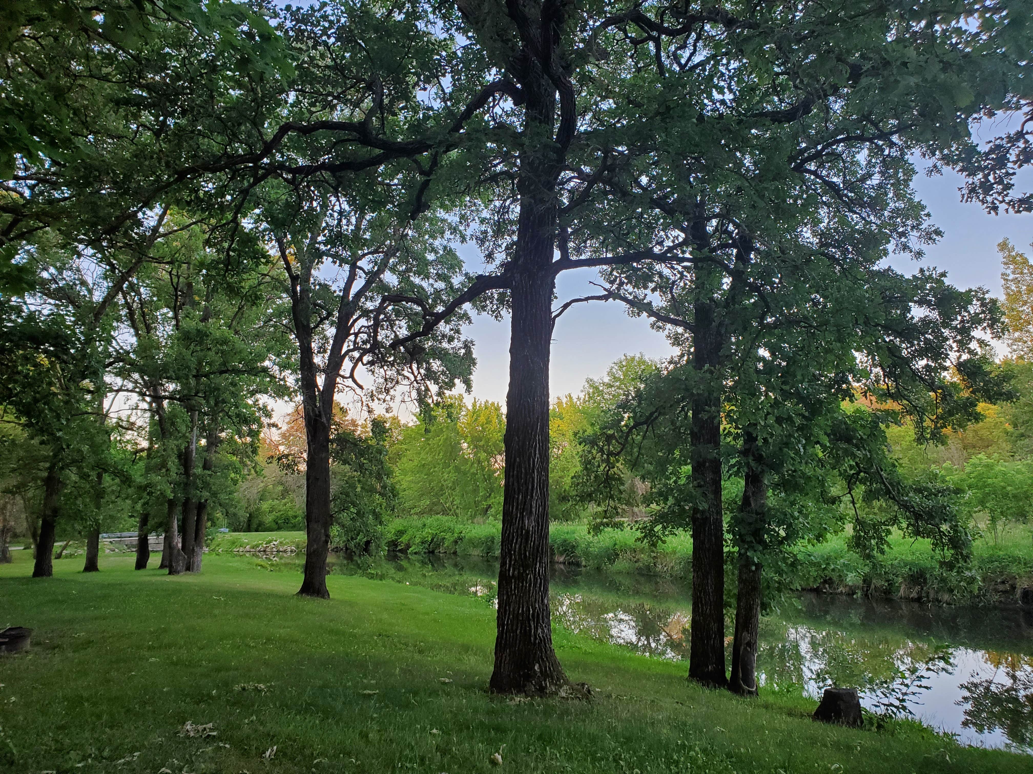 Camper-submitted photo at North Woods Park near Oelwein, IA