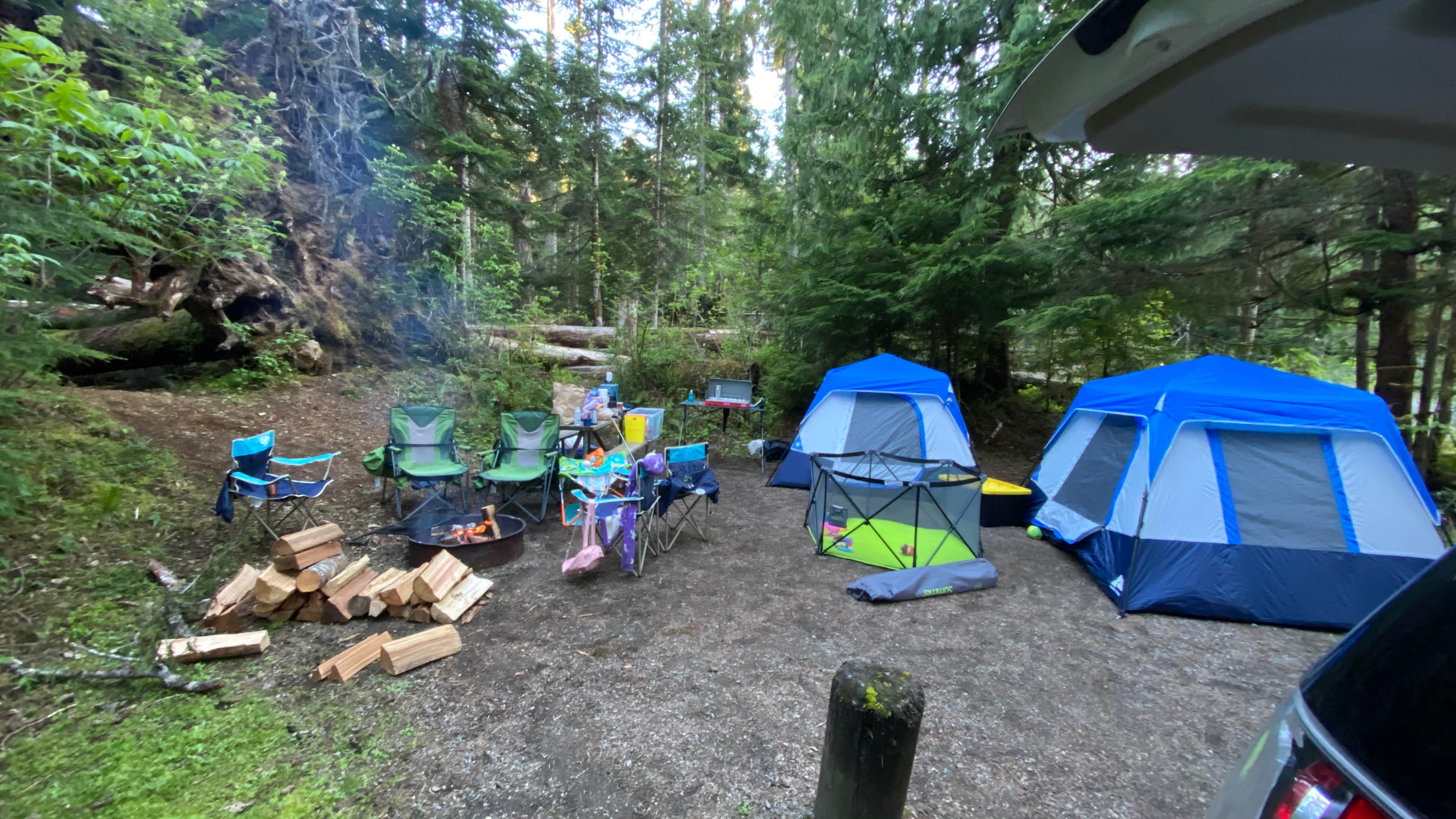Best camping near Forks, Washington The Dyrt