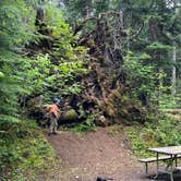 Review photo of Heart O' the Hills Campground — Olympic National Park by Brook W., July 10, 2021