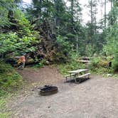 Review photo of Heart O' the Hills Campground — Olympic National Park by Brook W., July 10, 2021