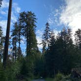 Review photo of Heart O' the Hills Campground — Olympic National Park by Brook W., July 10, 2021