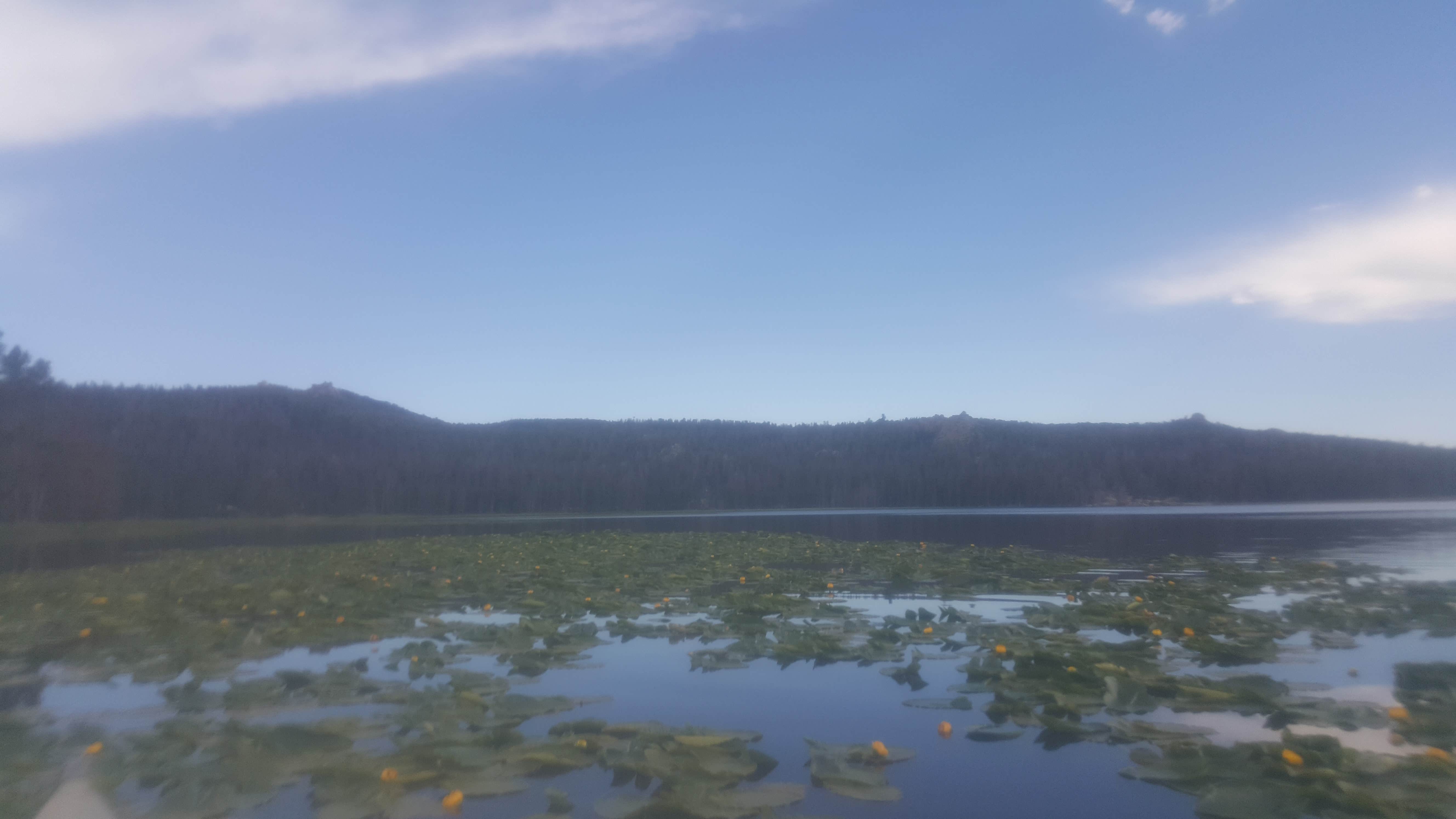 Camper submitted image from Fiddlers Lake - 3