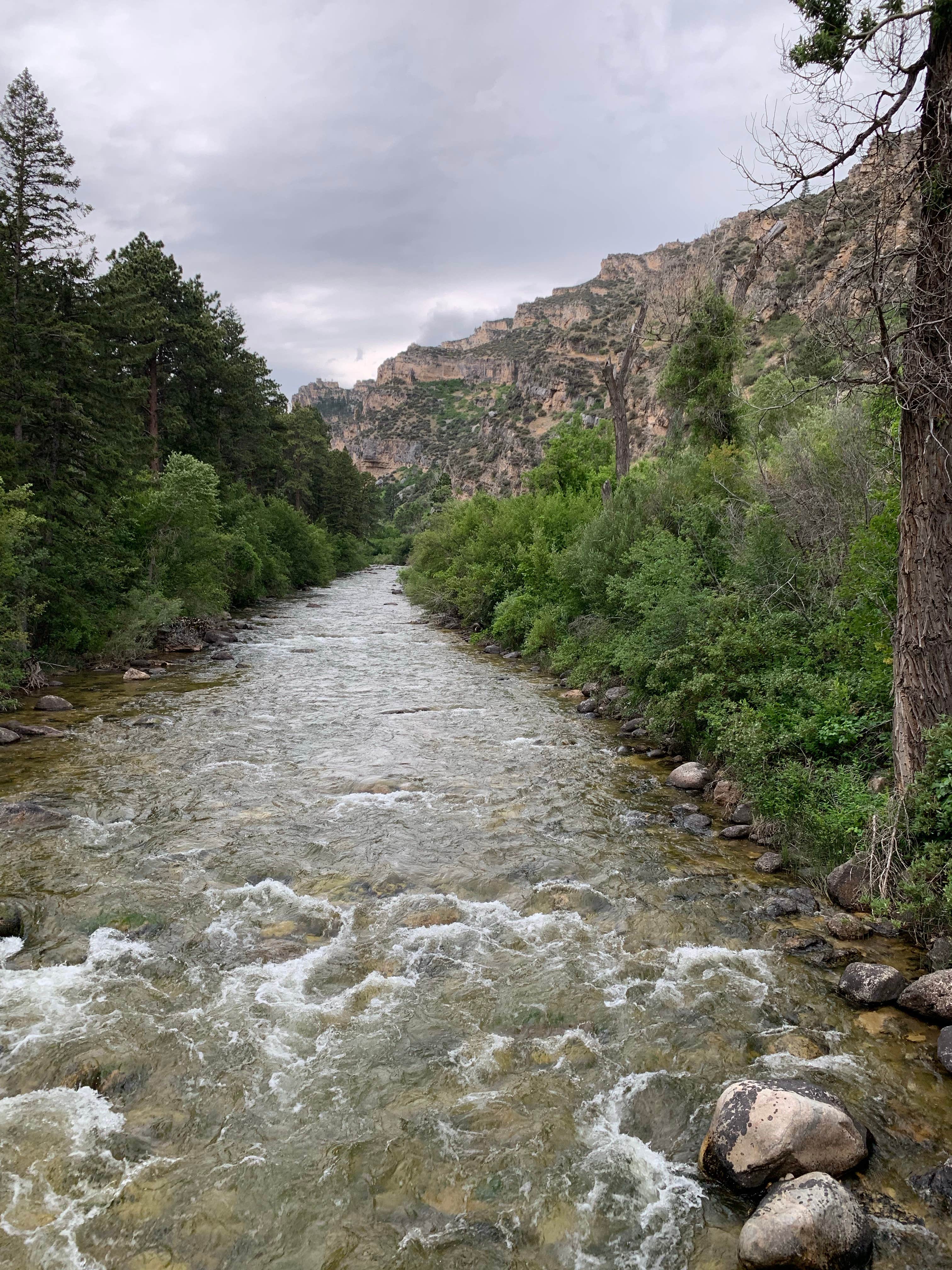 Camper submitted image from Tongue River Campground - 1