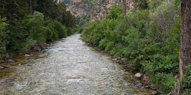 Camper submitted image from Tongue River Campground