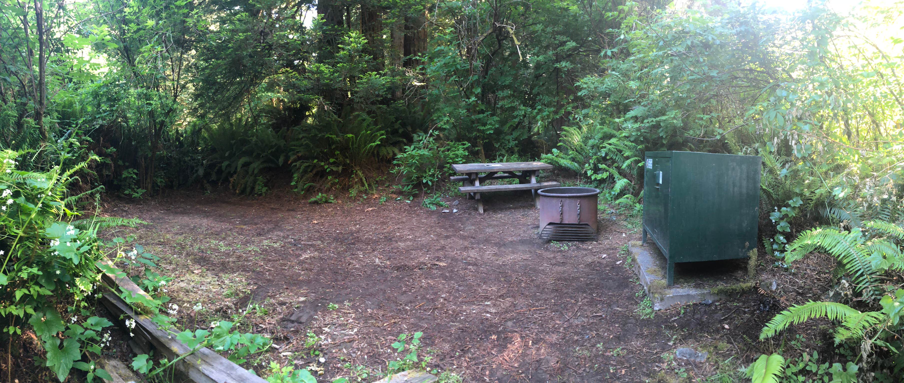 Camper-submitted photo at Mill Creek Campground — Del Norte Coast Redwoods State Park near Klamath, CA