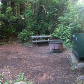 Review photo of Mill Creek Campground — Del Norte Coast Redwoods State Park by Andrew D., June 14, 2018