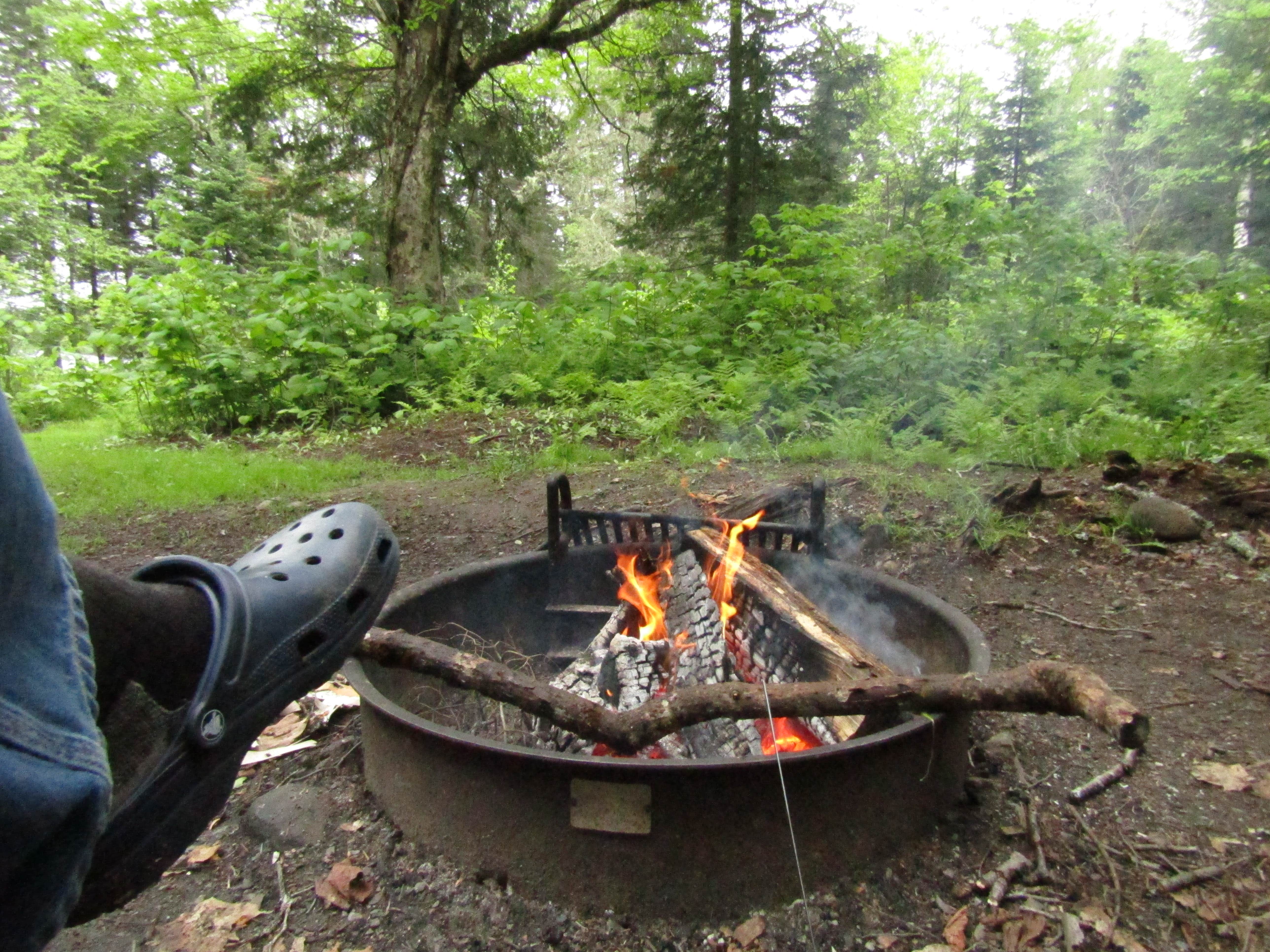 Sarah C.'s photo at Coleman State Park Campground near Errol, NH