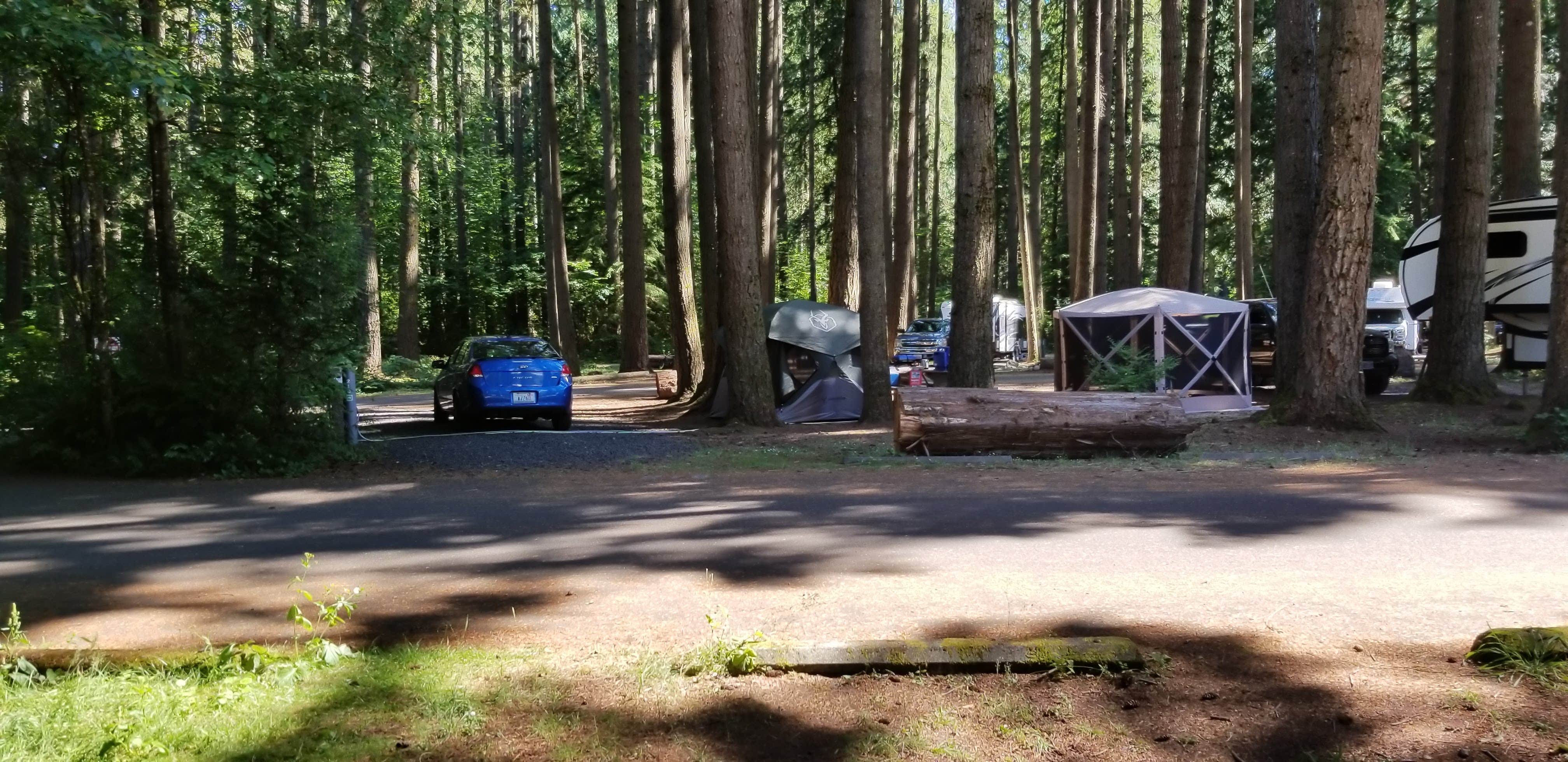 Jim P.'s photo at Millersylvania State Park Campground near Tenino, WA