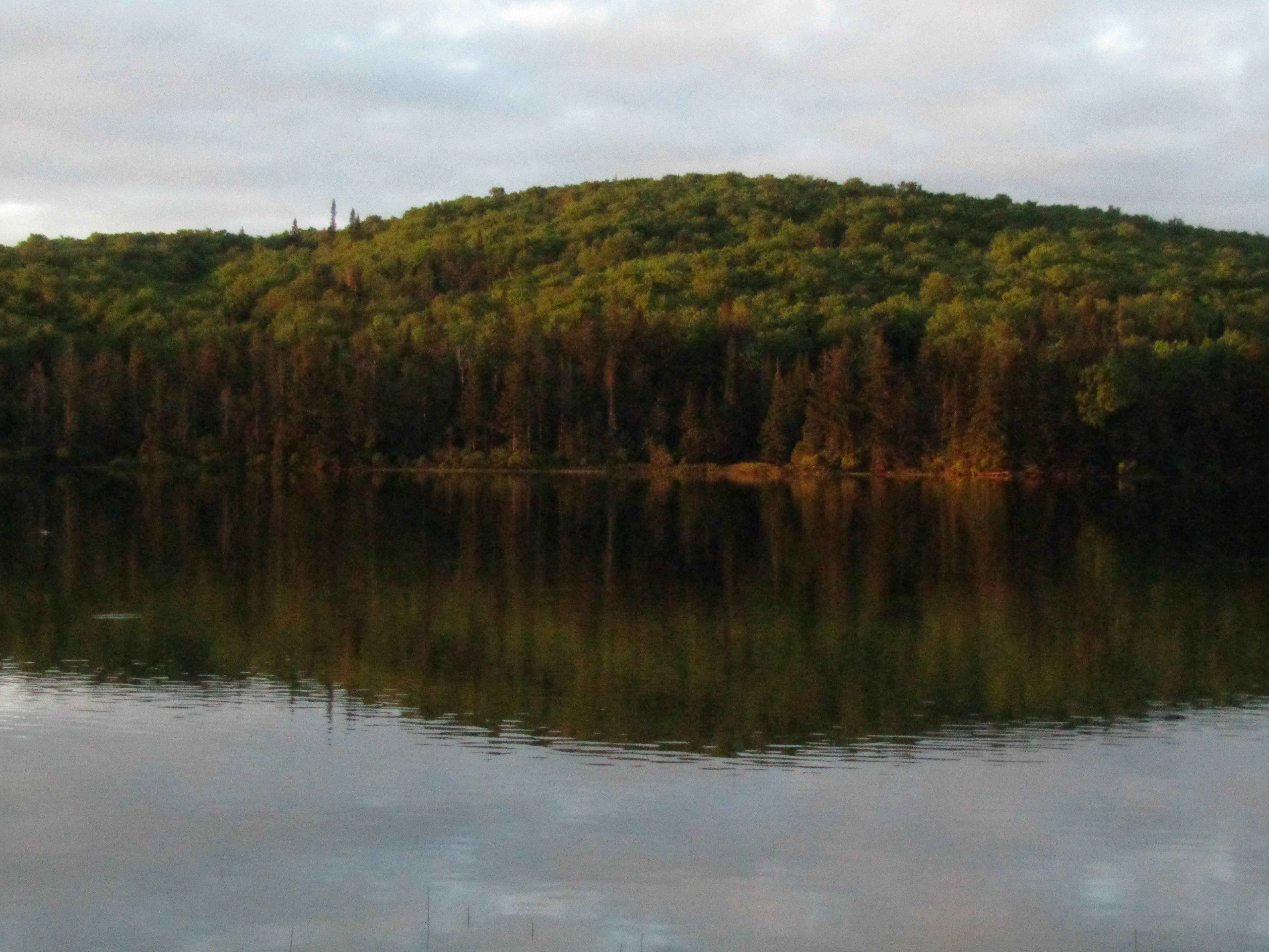 Camper-submitted photo at Coleman State Park Campground near Errol, NH