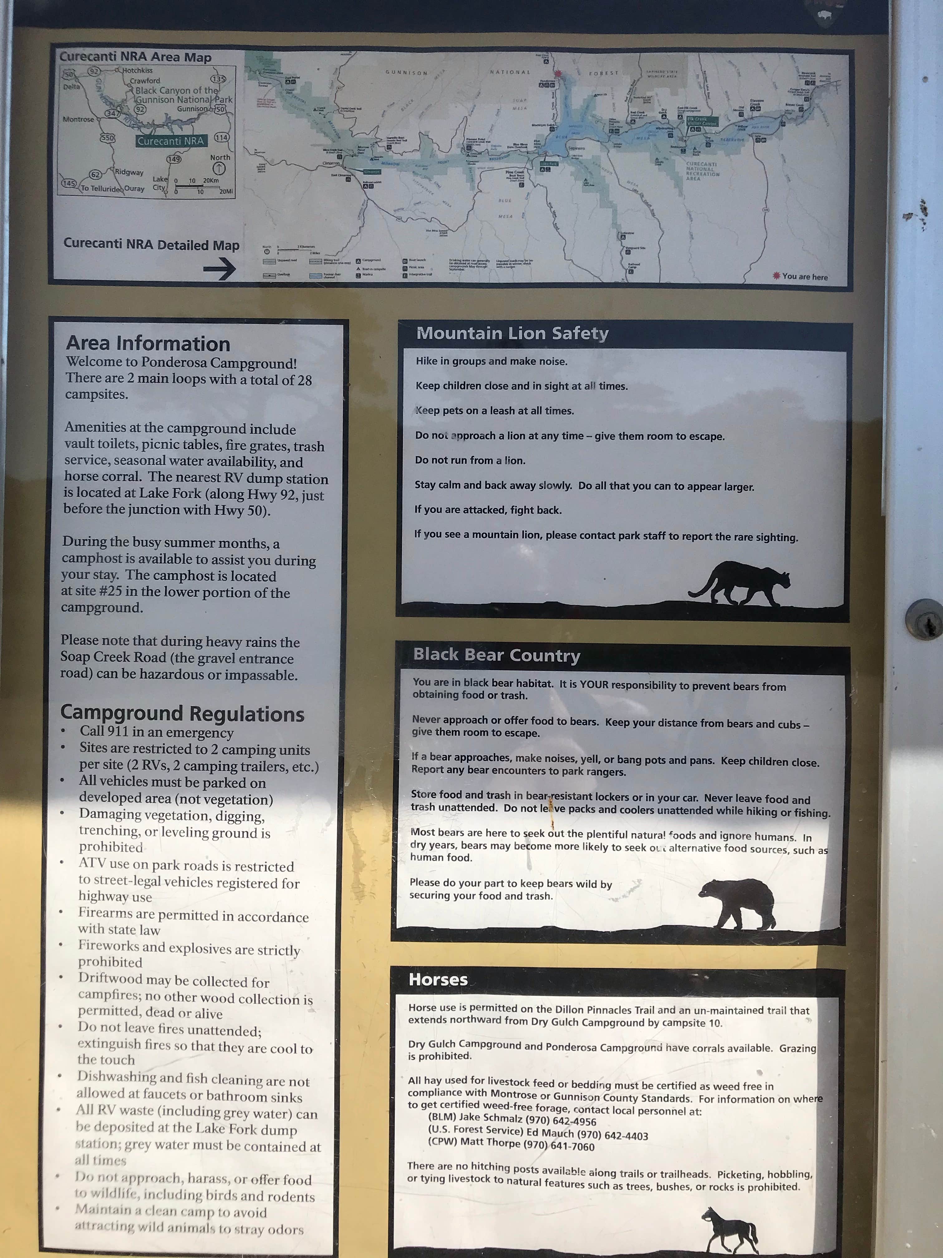 Camper submitted image from Ponderosa Campground - 4