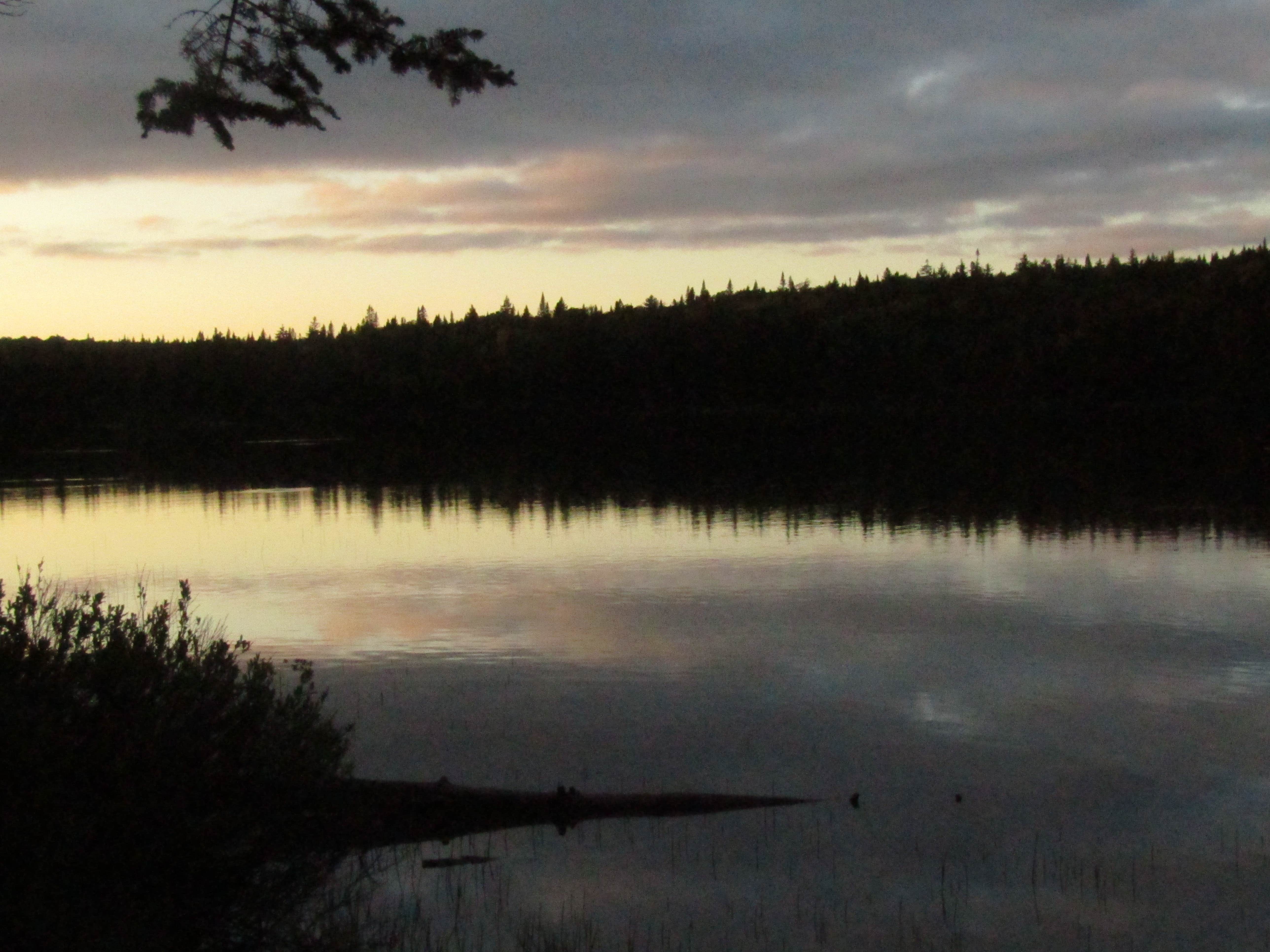 Camper-submitted photo at Coleman State Park Campground near Errol, NH