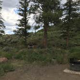 Review photo of Ponderosa Campground by Abigail R., July 10, 2021