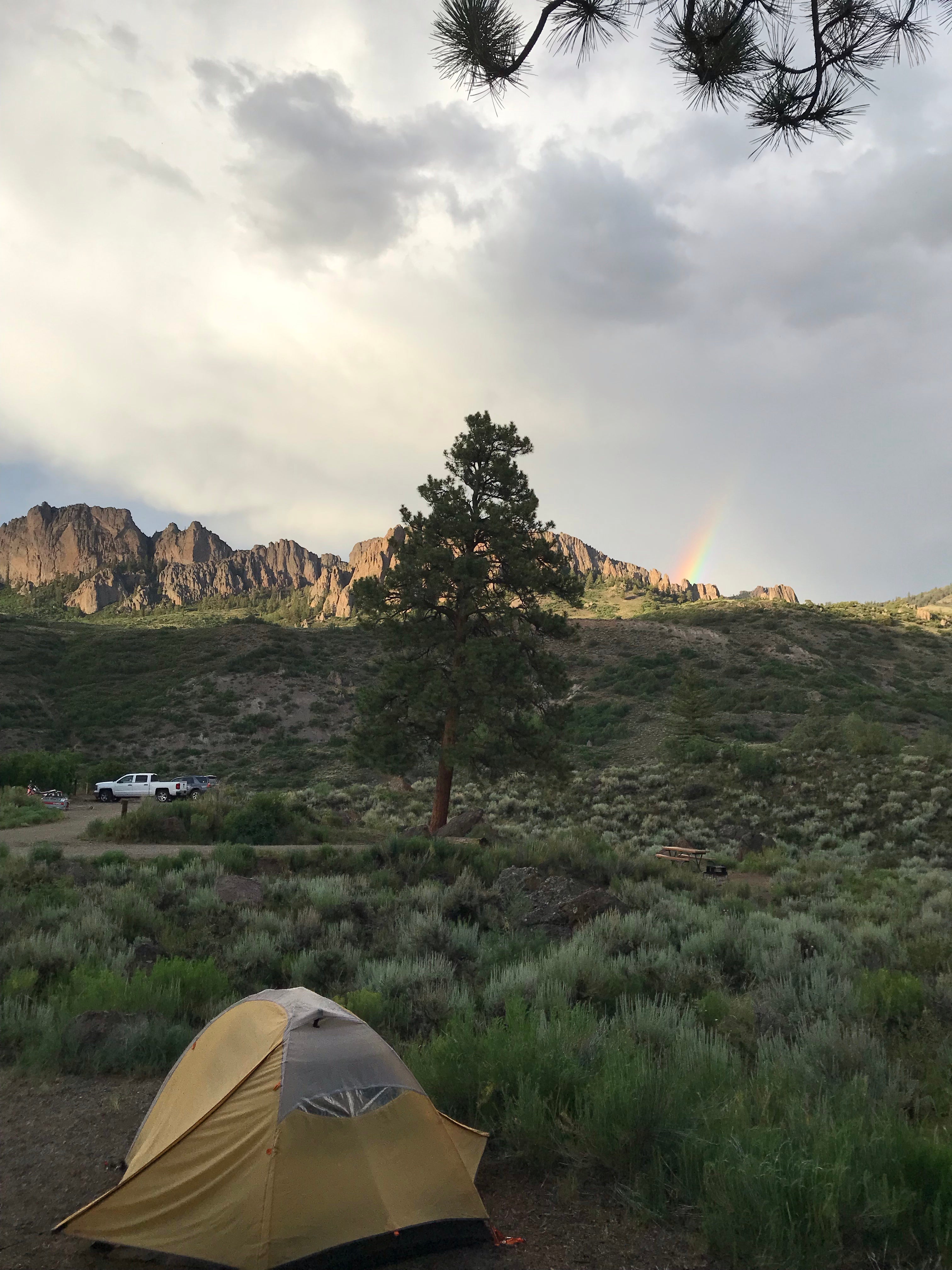 Camper submitted image from Ponderosa Campground - 5