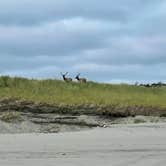 Review photo of Fort Stevens State Park Campground by Gayle S., July 10, 2021