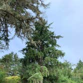 Review photo of Fort Stevens State Park Campground by Gayle S., July 10, 2021