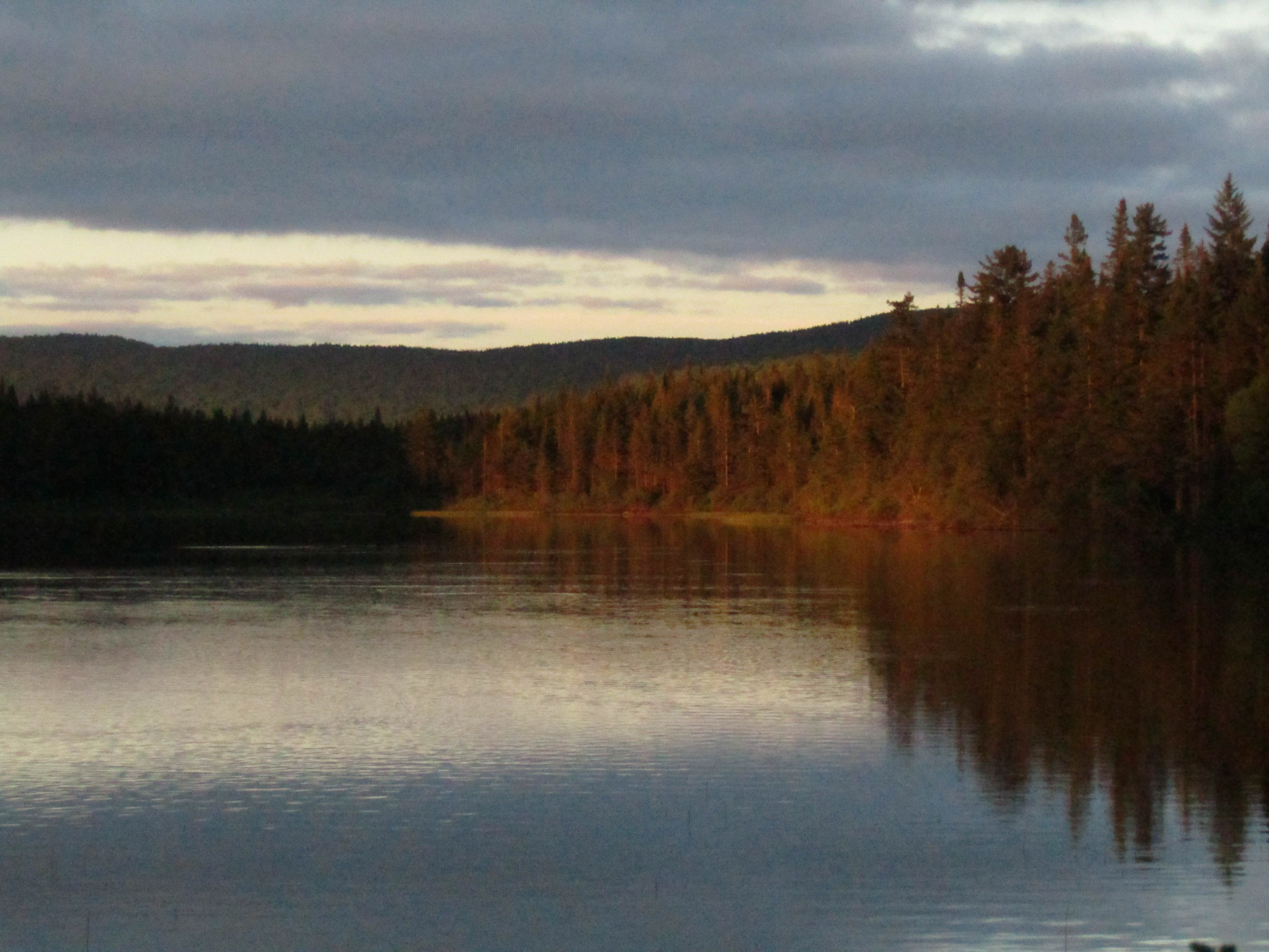 Camper submitted image from Coleman State Park Campground - 4