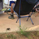 Review photo of Sagebrush Campground — Palo Duro Canyon State Park by Abigail R., July 10, 2021