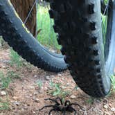 Review photo of Sagebrush Campground — Palo Duro Canyon State Park by Abigail R., July 10, 2021