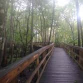 Review photo of Manatee Springs State Park Campground by John Z., July 10, 2021