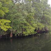 Review photo of Manatee Springs State Park Campground by John Z., July 10, 2021