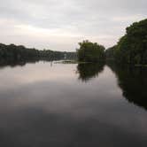 Review photo of Manatee Springs State Park Campground by John Z., July 10, 2021