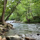 Review photo of Greenbrier Campground by Megan M., July 10, 2021