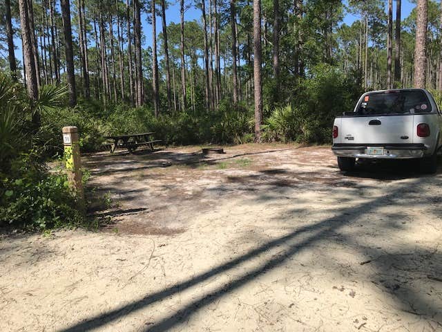 Camper submitted image from Womack Creek Campground — Tate's Hell State Forest - 3