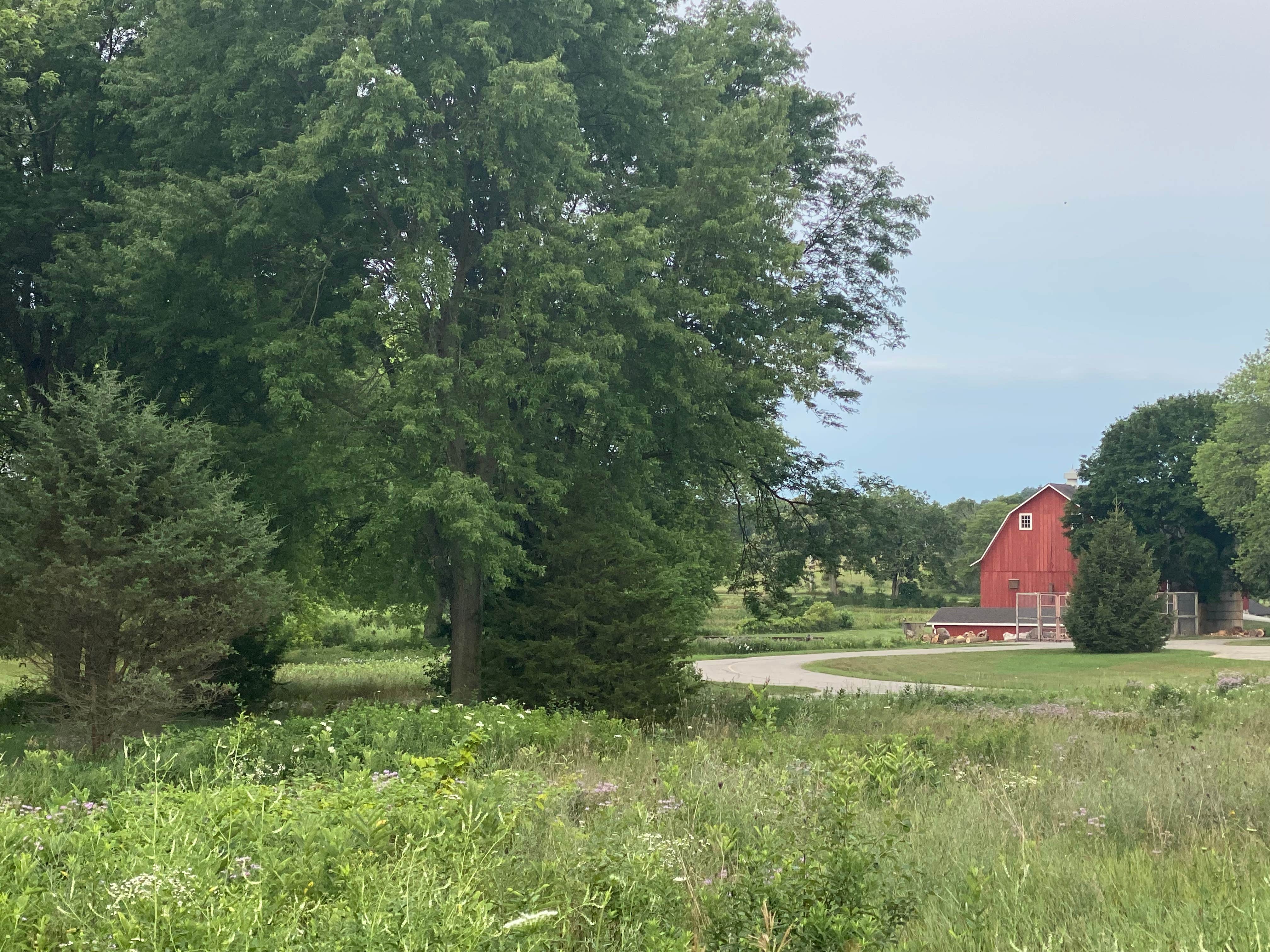 Camper submitted image from Mukwonago Park by Waukesha County Parks - 4