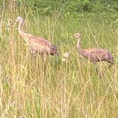 Review photo of Mukwonago Park by Waukesha County Parks by ryan S., July 10, 2021