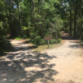 Review photo of Fred Gannon Rocky Bayou State Park by Dale W., July 10, 2021