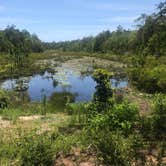 Review photo of Fred Gannon Rocky Bayou State Park by Dale W., July 10, 2021