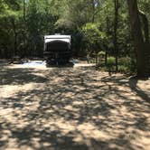 Review photo of Fred Gannon Rocky Bayou State Park by Dale W., July 10, 2021