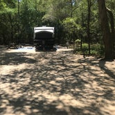 Review photo of Fred Gannon Rocky Bayou State Park Campground by Dale W., July 10, 2021