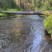 Review photo of Annie Creek Sno-Park by Raquel R., July 10, 2021