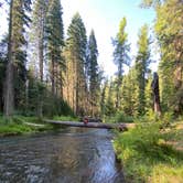 Review photo of Annie Creek Sno-Park by Raquel R., July 10, 2021