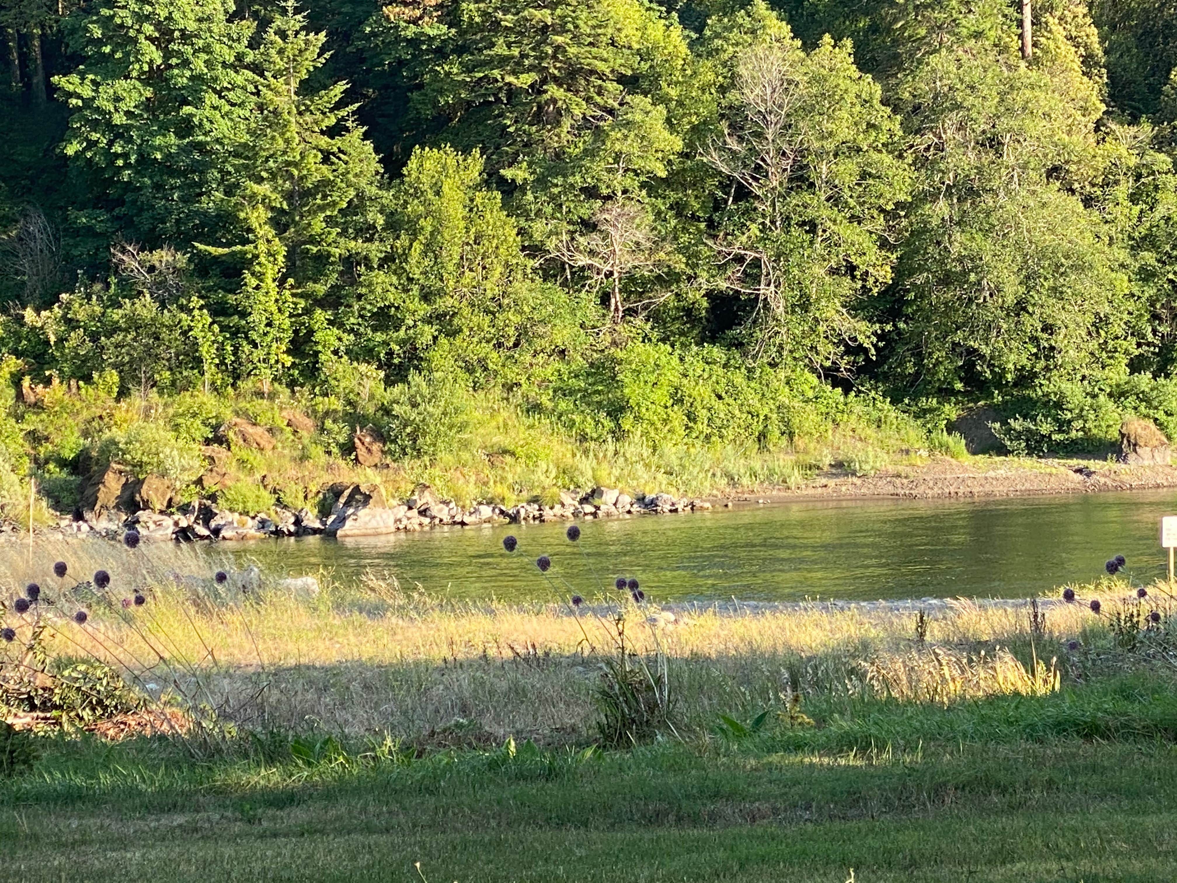 Camper submitted image from Kimball Creek Bend RV Resort - 4