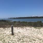 Review photo of Dr. Julian G. Bruce St. George Island State Park Campground by Dale W., July 10, 2021