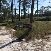 Review photo of Dr. Julian G. Bruce St. George Island State Park Campground by Dale W., July 10, 2021