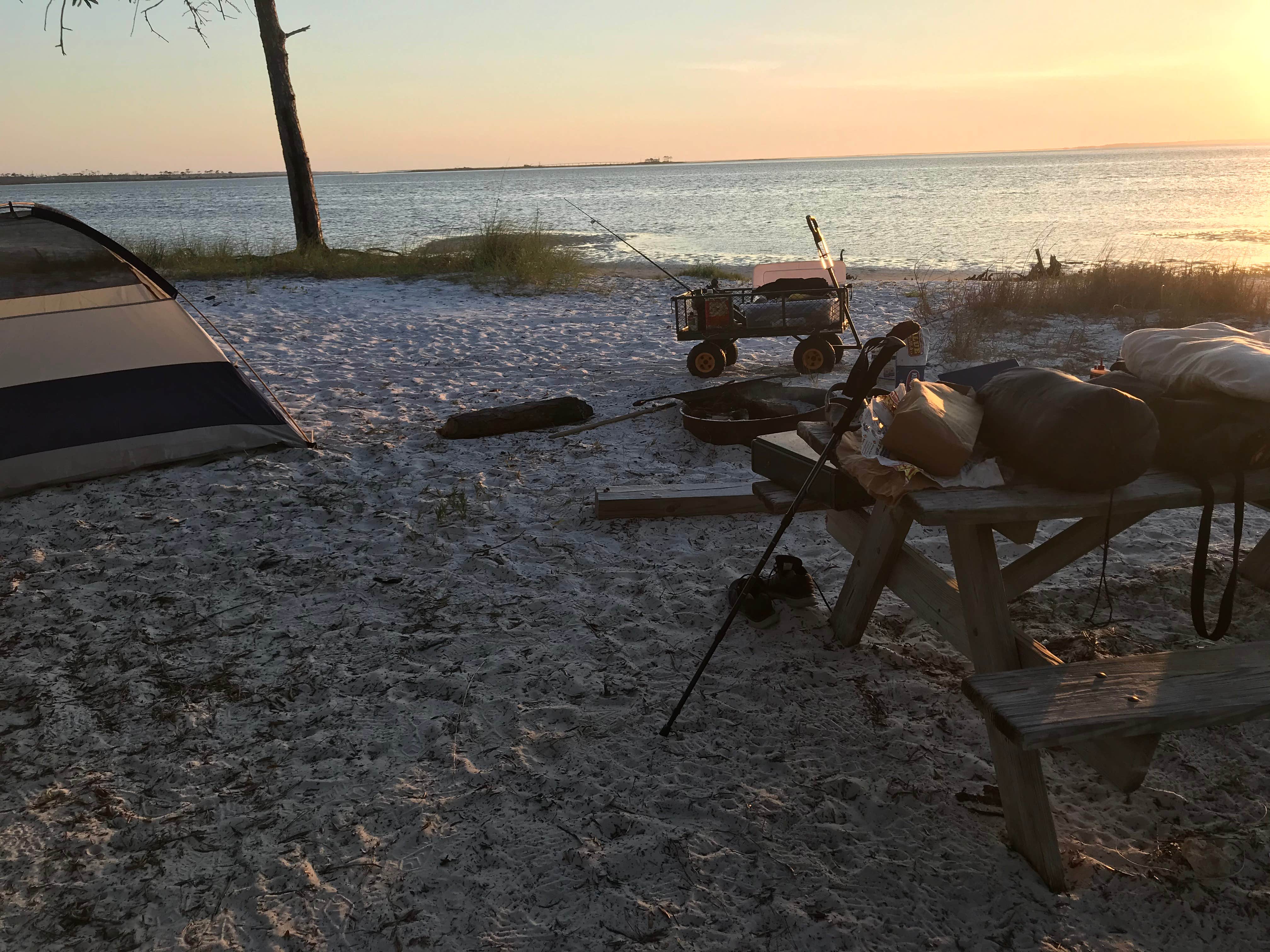 Dale W.'s photo at Dr. Julian G. Bruce St. George Island State Park Campground near Carrabelle, FL