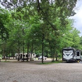 Review photo of Mulberry River Outdoor Adventures  by Steve L., July 10, 2021