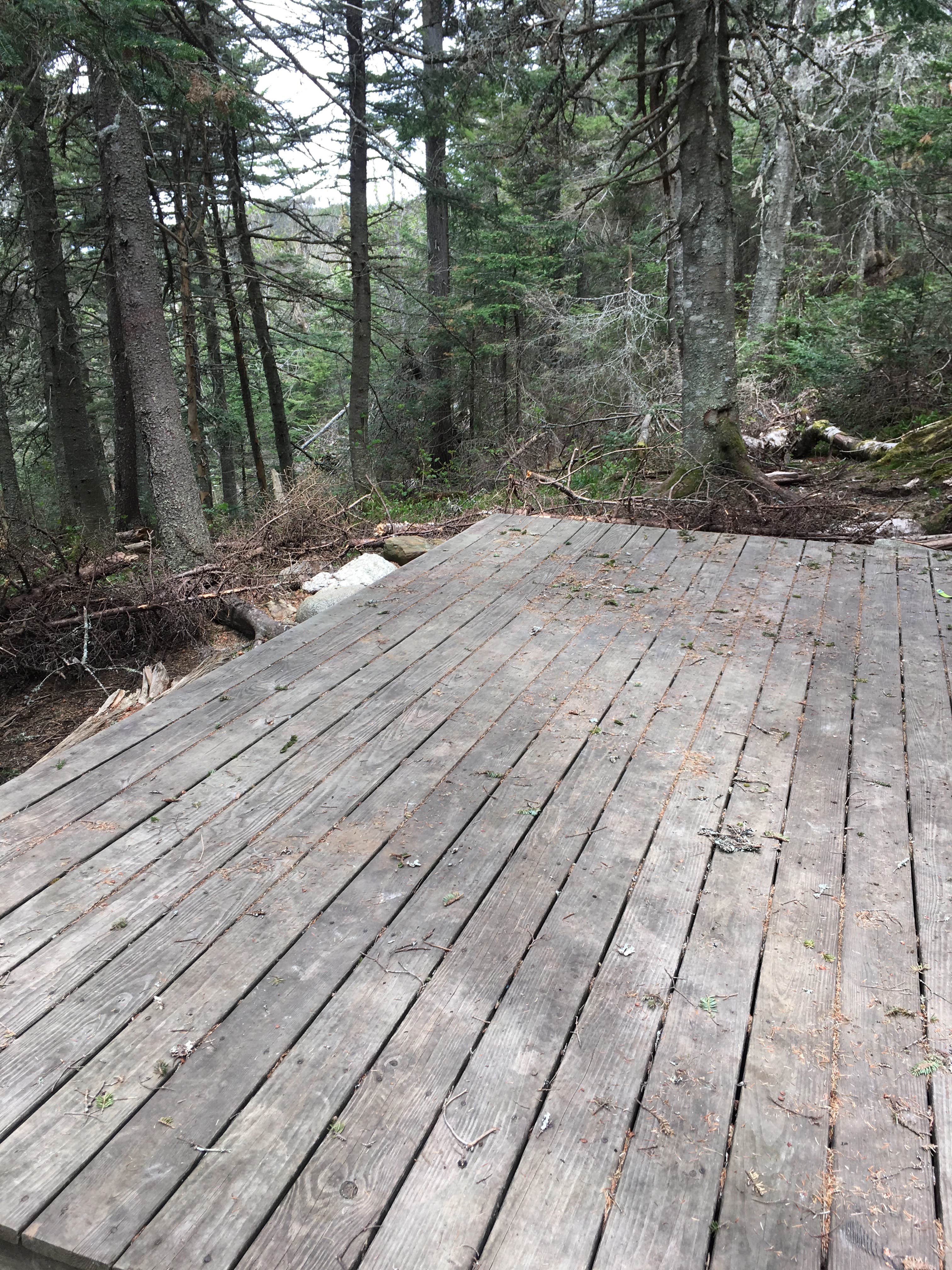 Camper submitted image from Carlo Col — Mahoosucs Ecological Reserve - 5
