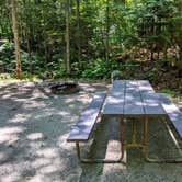 Review photo of Ricker Pond State Park Campground by Shari  G., July 10, 2021