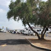 Review photo of Circus Circus RV Park by T K., July 10, 2021