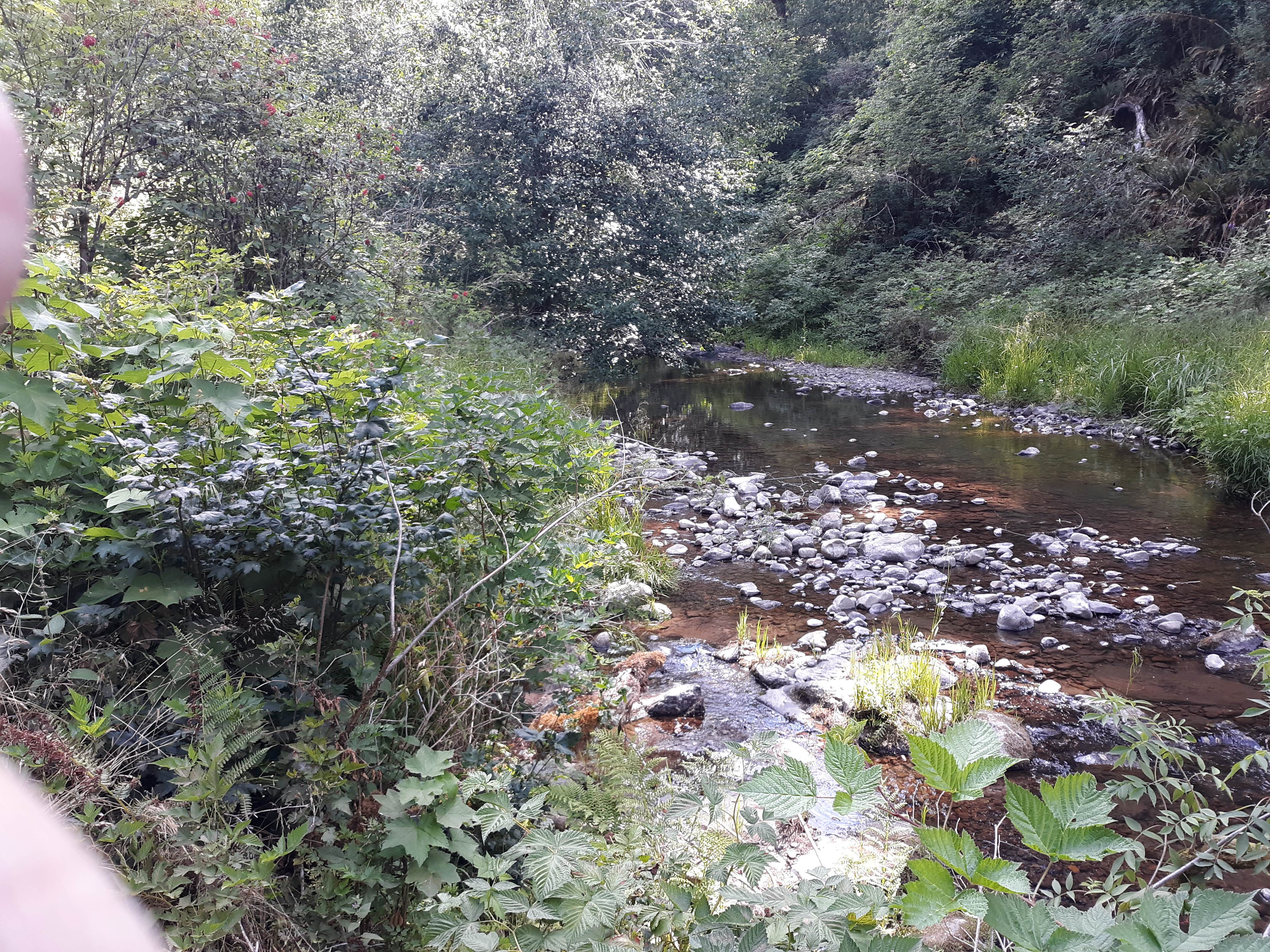 Camping near Valley's Edge RV Park: Big Buck Campground, Grand Ronde, Oregon