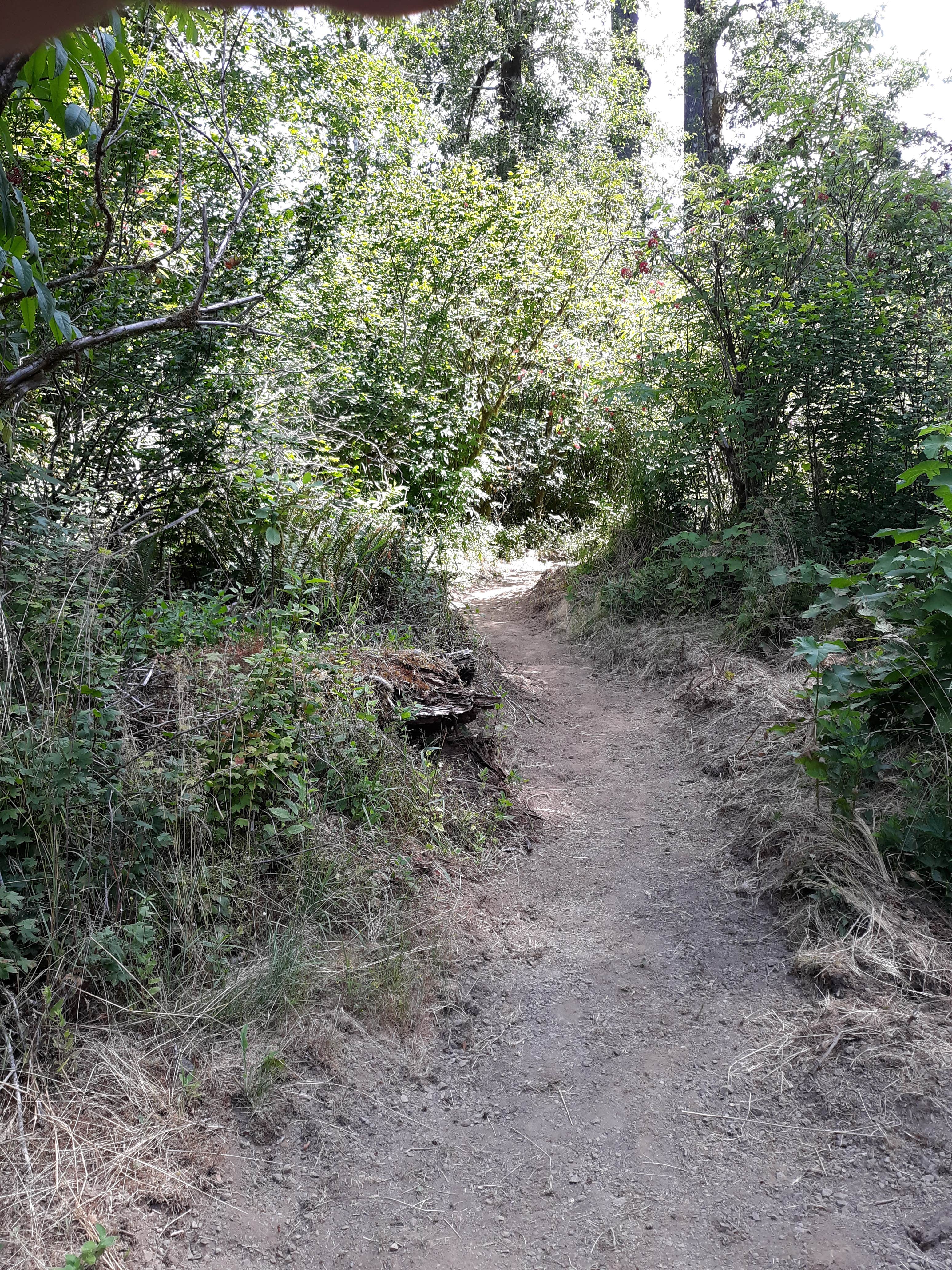Camper-submitted photo at Big Buck Campground near Grand Ronde, OR